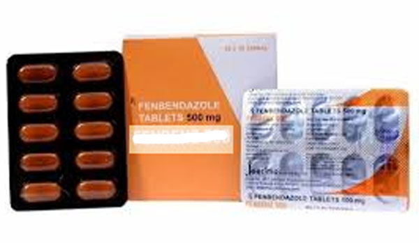 करोड़ों रुपये की पशुओं के पेट में कीड़े मारने की दवा पाई गई नकली