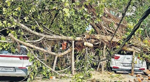 यूपी के कई जिलों में आंधी-बारिश से 13 लोगों की मौत, 26 से ज्यादा घायल