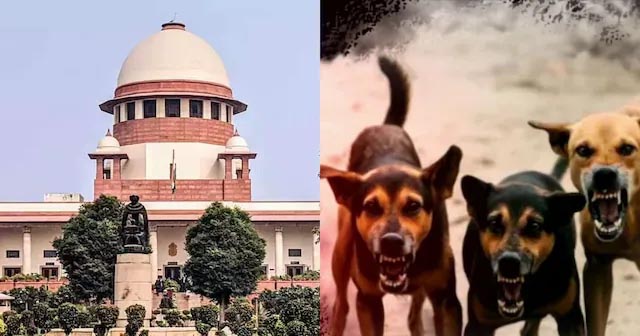 सुप्रीम कोर्ट का ऐतिहासिक फैसला, खतरनाक कुत्तों को दें मौत का इंजेक्शन