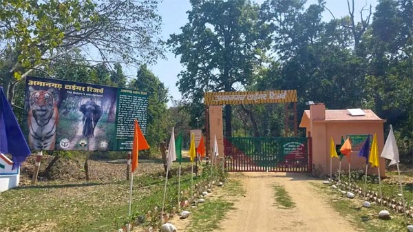 15 दिन बढ़े, अब 30 जून तक पर्यटक ले सकेंगे जंगल सफारी का आनंद