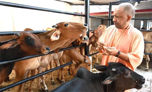 राज्य सरकार पूरे प्रदेश में अपराएगी गोमूत्र डेरी का माडल